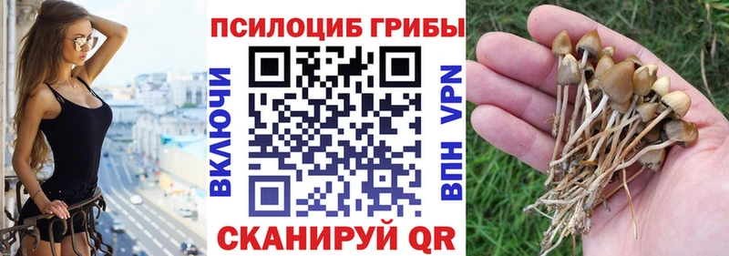 Псилоцибиновые грибы мухоморы  магазин продажи   Карабаново 